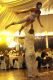 Nouveau Cirque 2010